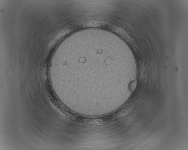 X0000078280683200612011745