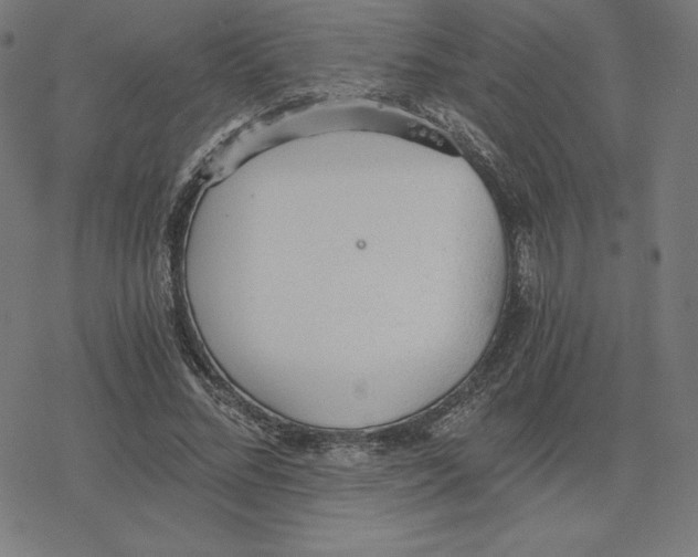 X0000078280684200612011745