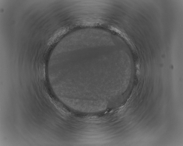 X0000078280685200612011745