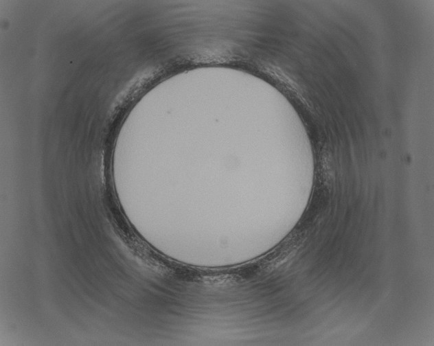 X0000078280686200612011745