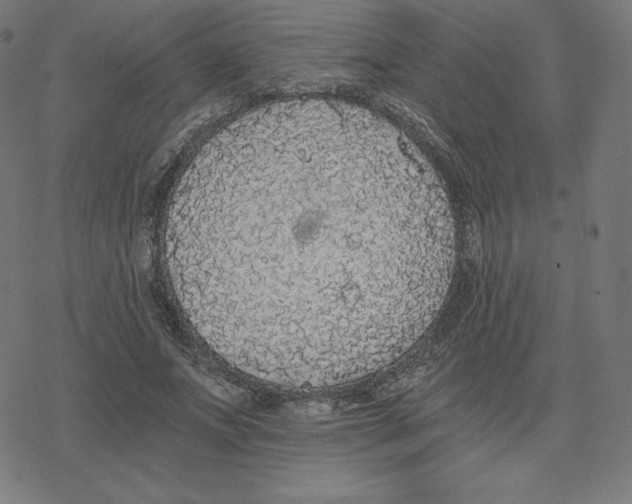 X0000078280687200612011745