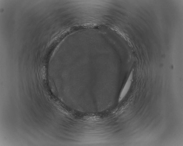 X0000078280689200612011745