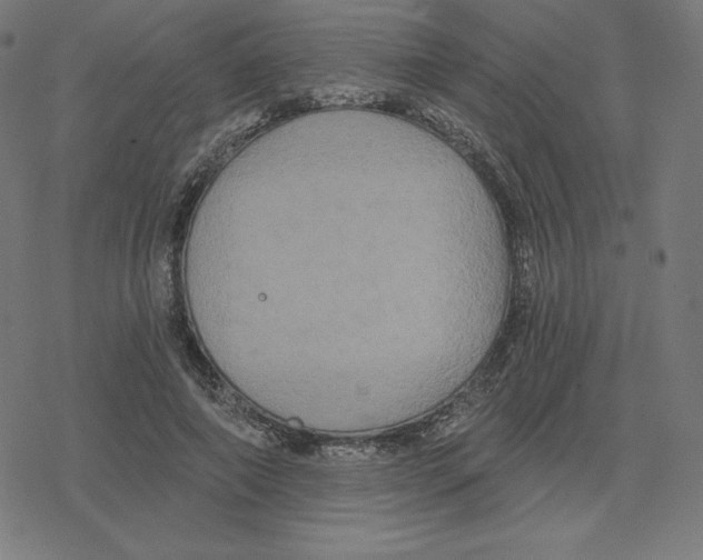 X0000078280690200612011744