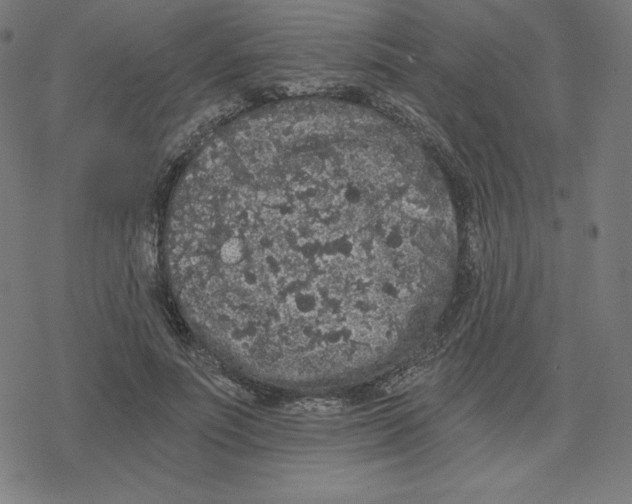 X0000078280691200612011744