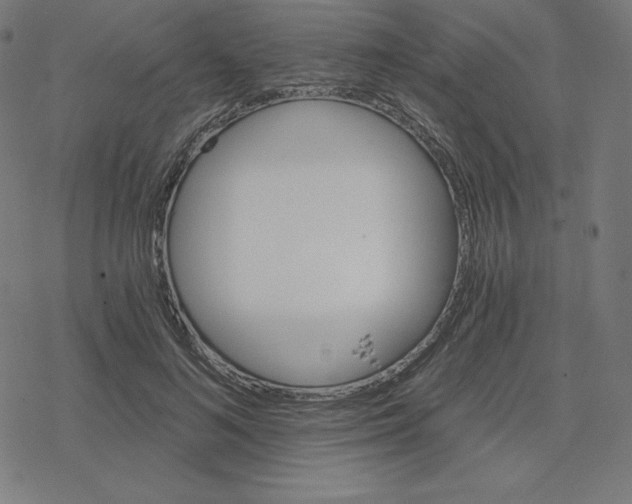 X0000078280692200612011744