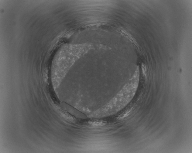 X0000078280693200612011744