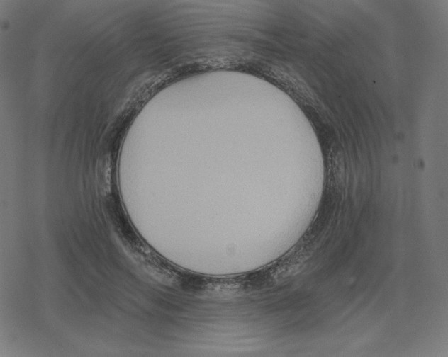 X0000078280694200612011744