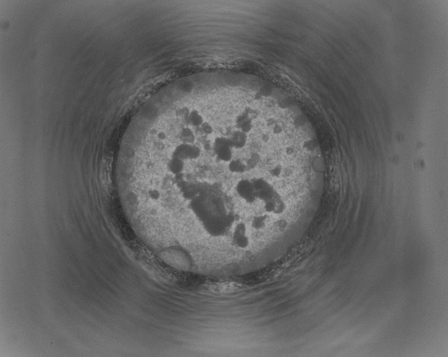 X0000078280695200612011744