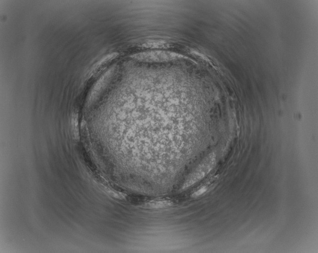 X0000078280696200612011744