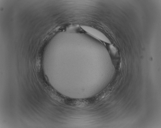 X0000078280697200612011744