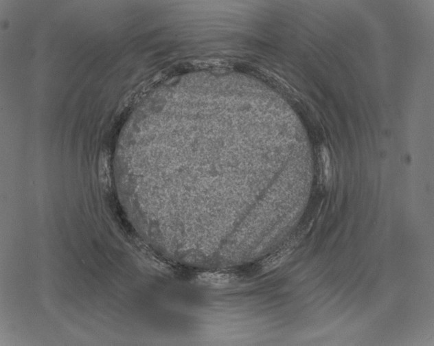 X0000078280699200612011744