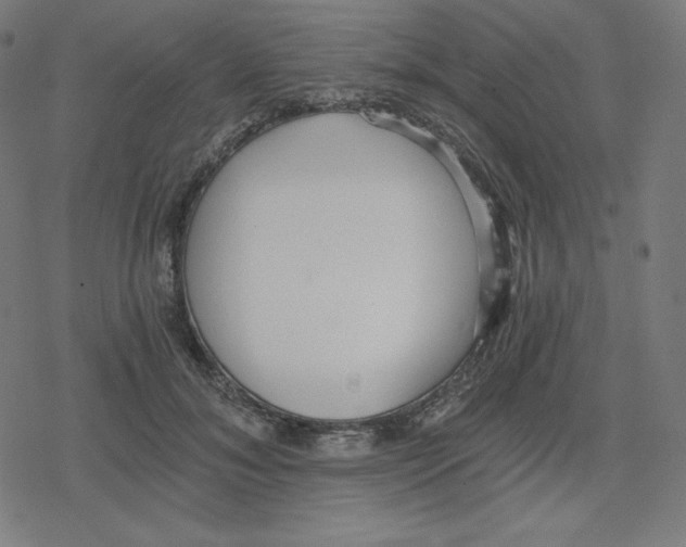 X0000078280700200612011744