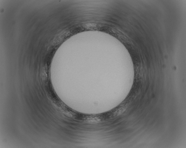 X0000078280702200612011744