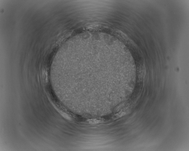 X0000078280703200612011744