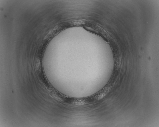 X0000078280704200612011744