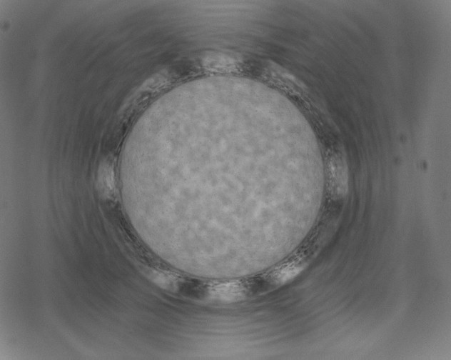 X0000078280705200612011744