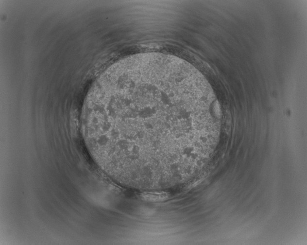 X0000078280707200612011744