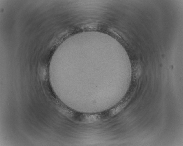 X0000078280709200612011744