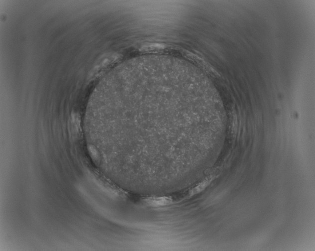 X0000078280711200612011744