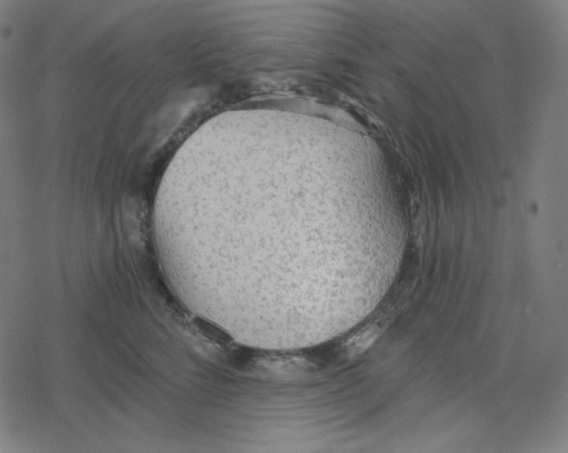 X0000078280712200612011744