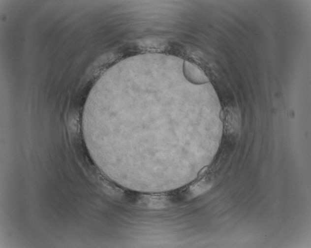 X0000078280713200612011744