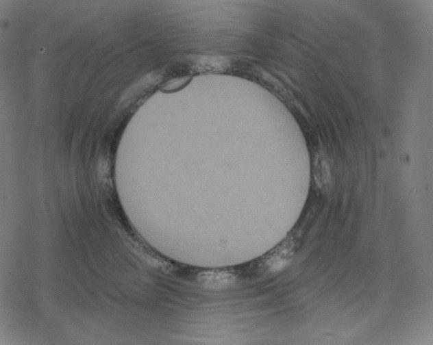 X0000078280714200612011744