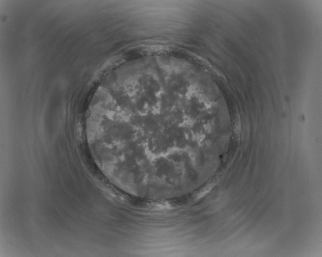 X0000078280715200612011744