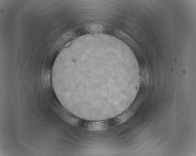 X0000078280717200612011744