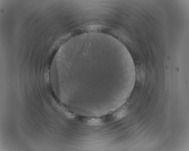 X0000078280718200612011744