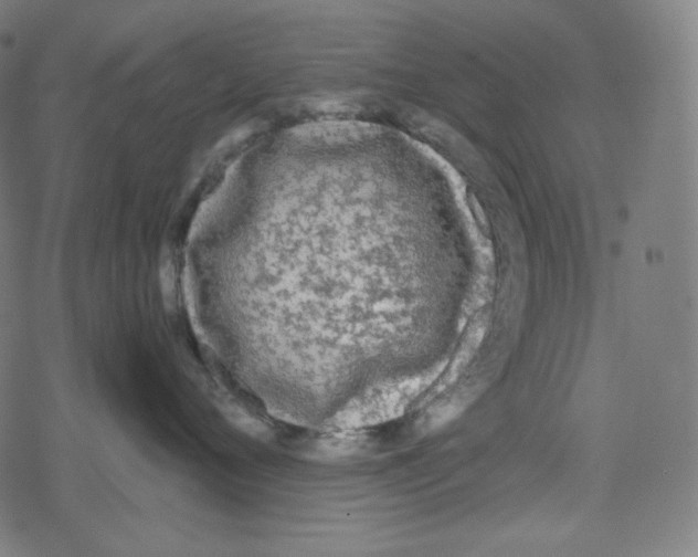 X0000078280720200612011744