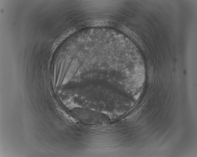 X0000078280721200612011743