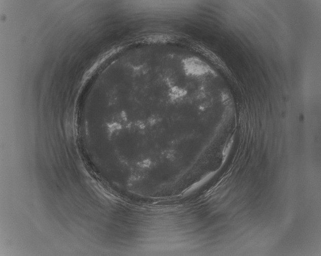 X0000078280722200612011743