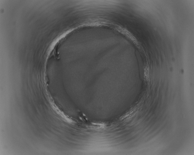 X0000078280724200612011743