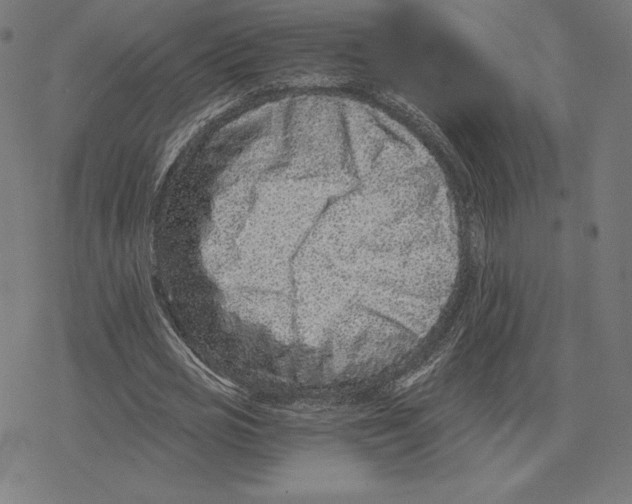 X0000078280725200612011743