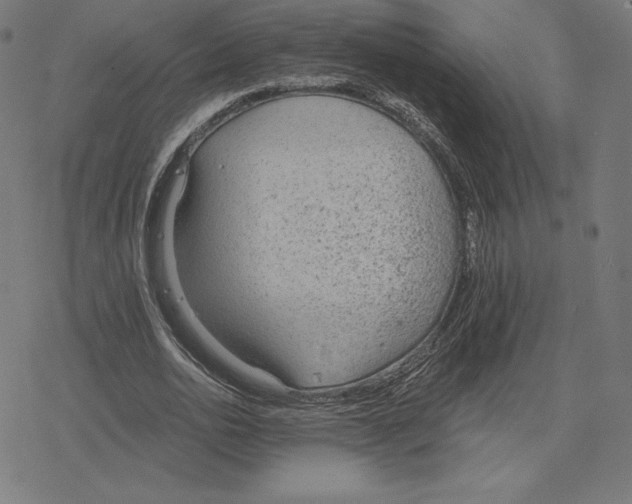 X0000078280726200612011743