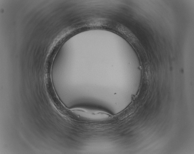 X0000078280728200612011743