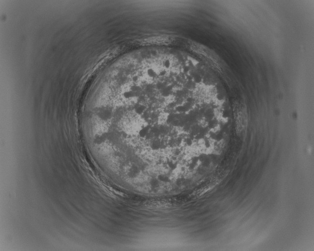 X0000078280729200612011743