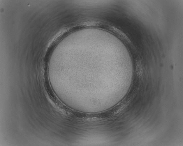 X0000078280730200612011743