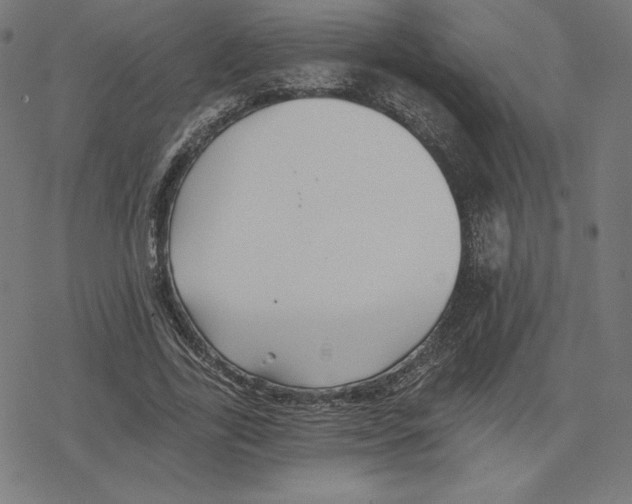 X0000078280731200612011743