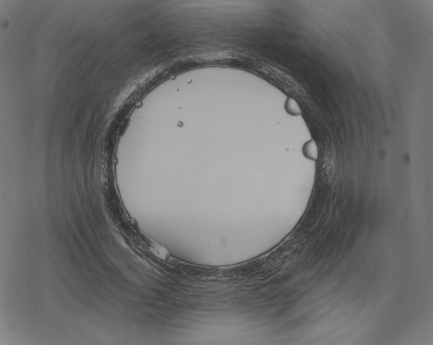 X0000078280732200612011743