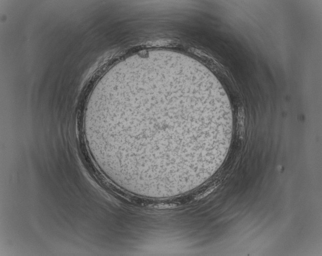 X0000078280734200612011743