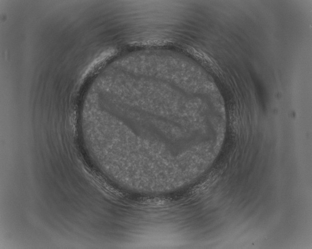 X0000078280735200612011743