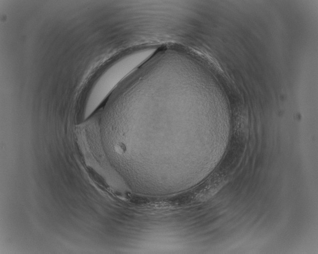 X0000078280736200612011743