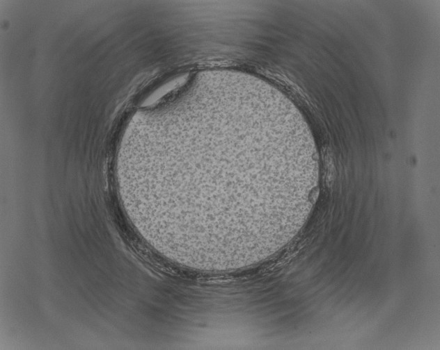 X0000078280738200612011744