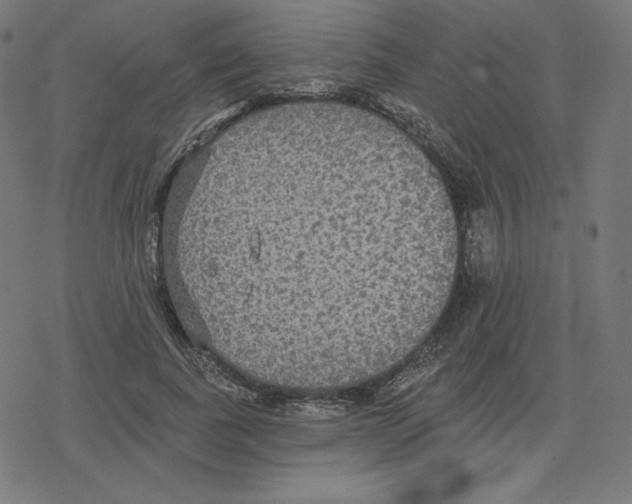 X0000078280739200612011744