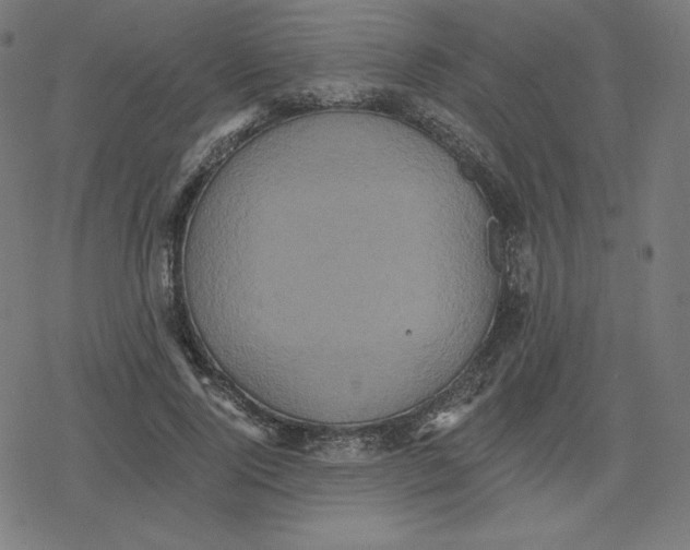 X0000078280740200612011744