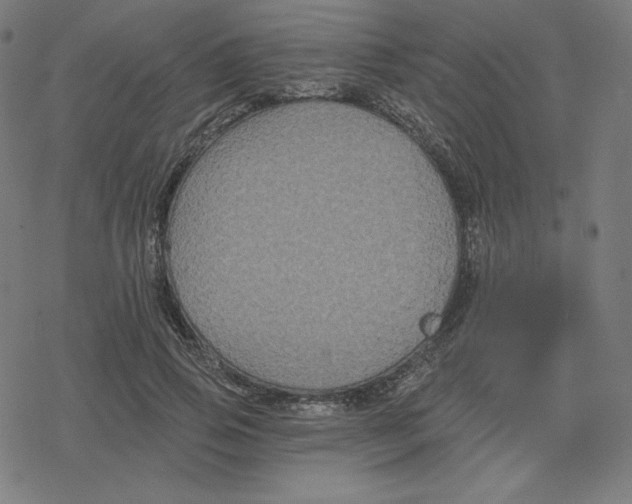 X0000078280741200612011744