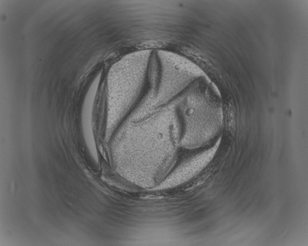 X0000078280742200612011744