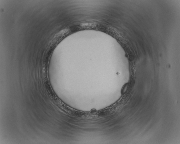 X0000078280745200612011744