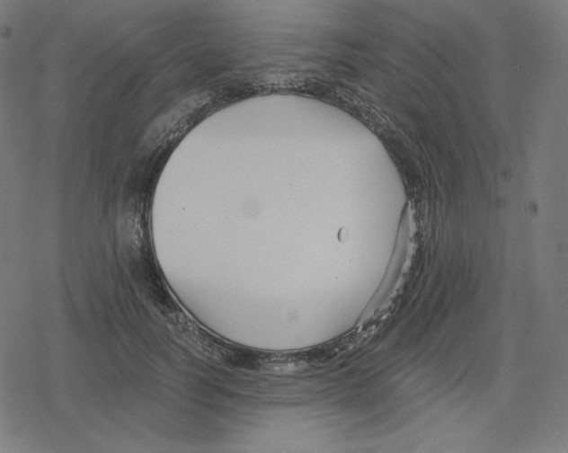 X0000078280746200612011744